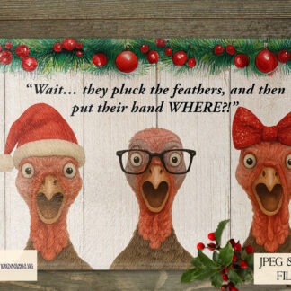 Comedy Surprised Christmas Turkey Design Set with 4 variations including textless and worded designs, background options and mock-ups
