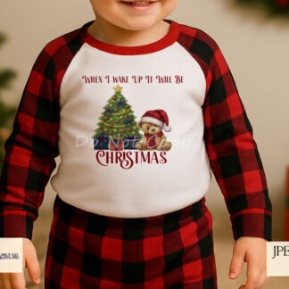 Tartan teddy bear Christmas design in red and navy with festive text variations