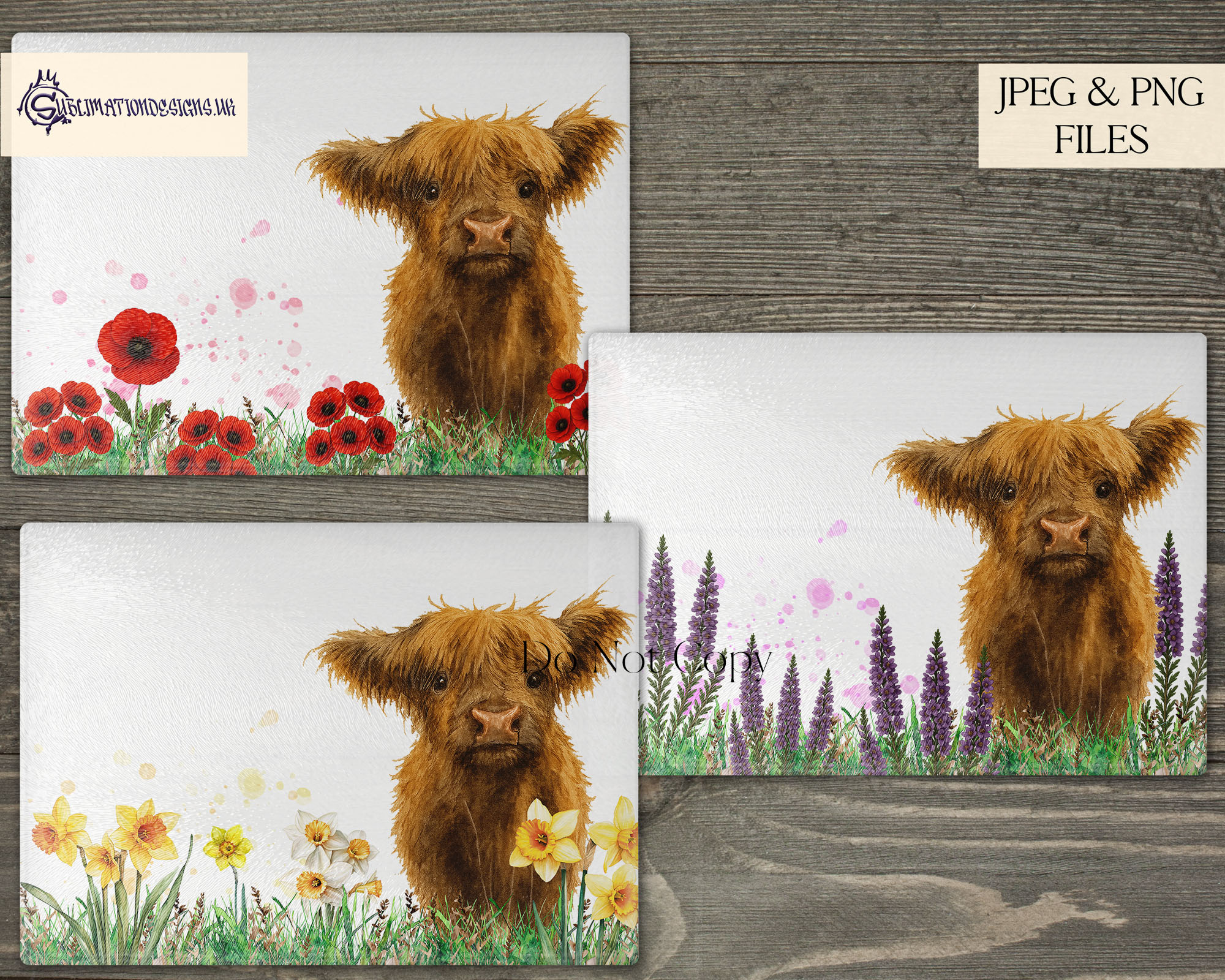 Highland cow floral field designs in daffodil, heather and poppy themes shown across multiple template layouts