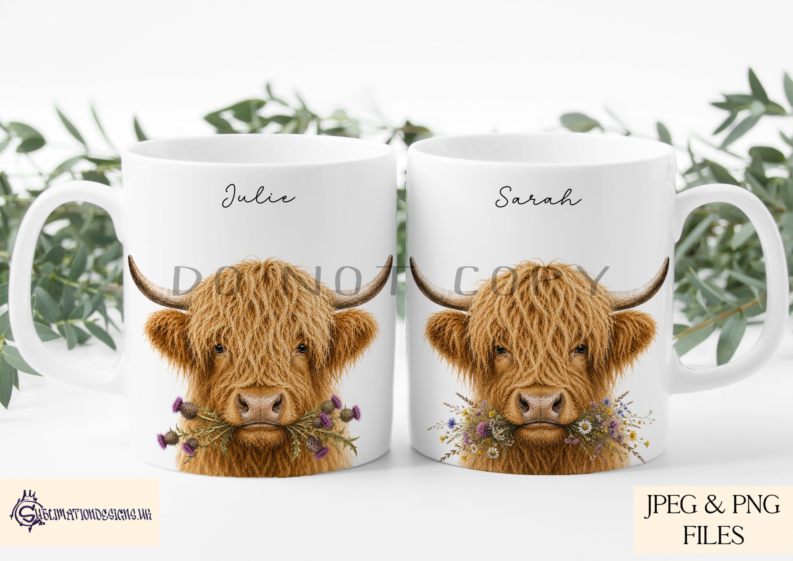 Highland cow chewing flowers designs with heather thistle wildflower and daisy variations in square and A4 formats for sublimation products